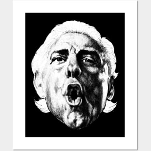 Ric Flair Posters and Art